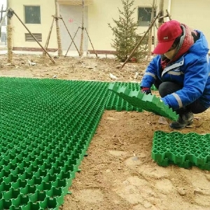 花口植草格